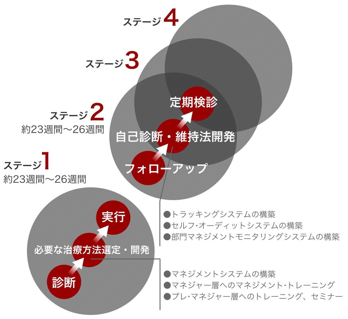 プログラム導入ステップ